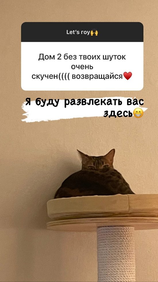 Анна Самонина: Не хочу возвращаться в стоматологию