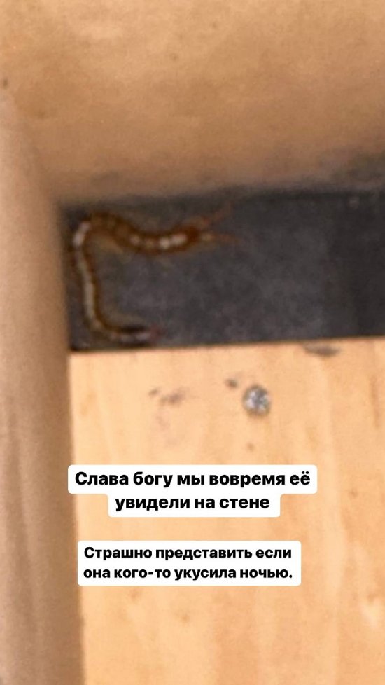 Алина Галимова: Учусь доверять снова