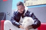 Новости от Кота Баюна (8.11.2022)