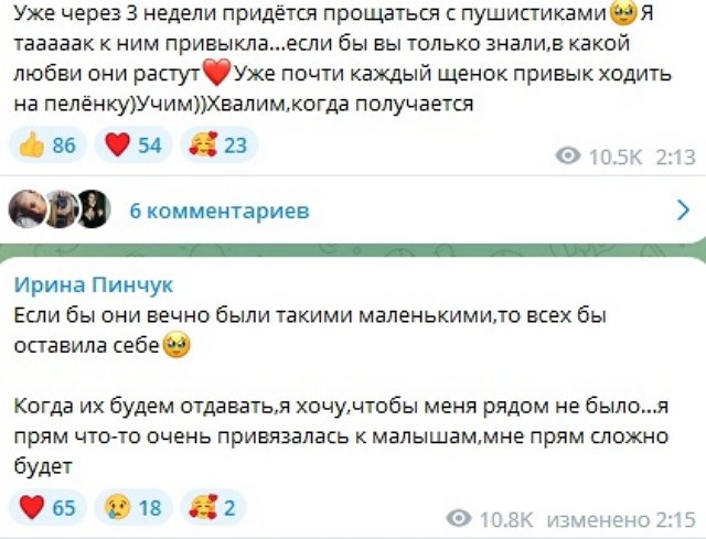 Ирина Пинчук: Думаете, 500 тысяч - это прям «нажива» для меня?