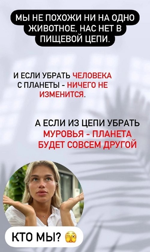Анастасия Бигрина: Привет, потеряли? Анастасия Бигрина: Привет, потеряли?