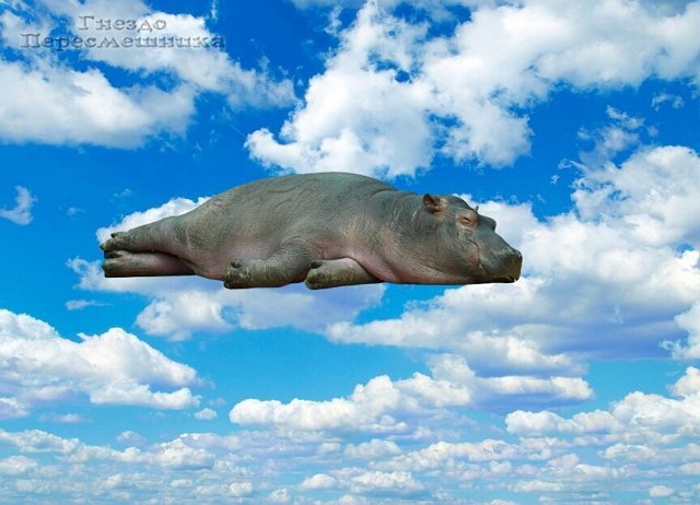 Мнение о событиях на Доме-2 (19.11.2022) Мнение о событиях на Доме-2 (19.11.2022)