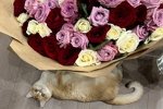 Милена Безбородова: Я давно не была так счастлива
