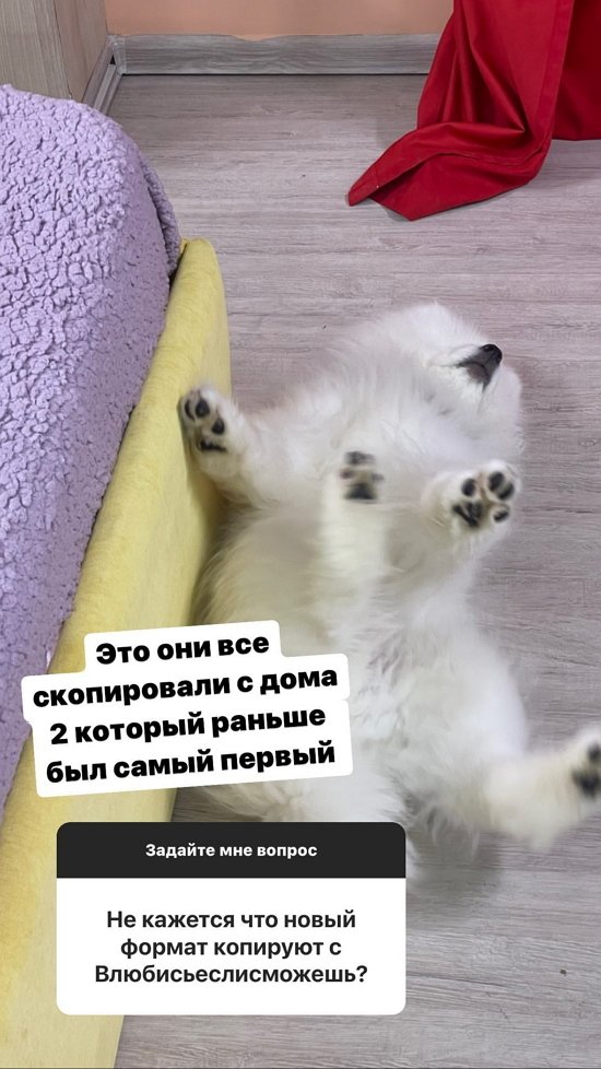 Иван Барзиков: Это они копируют со старого Дома-2