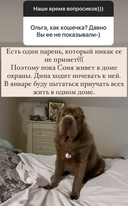 Ольга Орлова: Все праздники я дома