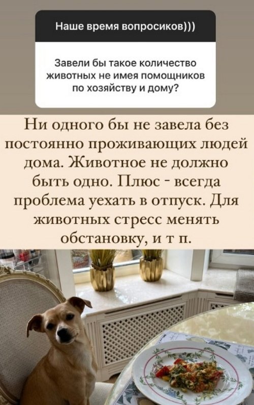 Ольга Орлова: Все праздники я дома