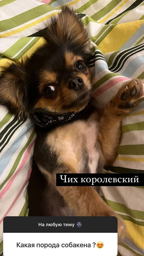 Алина Иордан: Я хочу девочку!