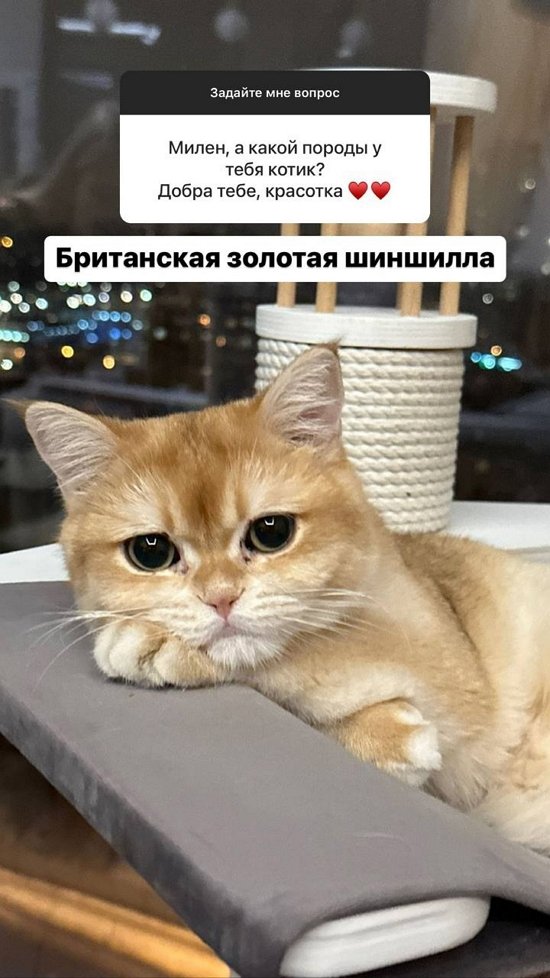 Милена Безбородова: Дальше уже проверка отношений...