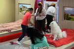 Анонс Дом-2 на 19/01/2023