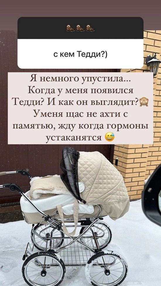 Ольга Орлова: Я без них уже не смогу!