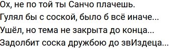 Стихи о Дом-2 на 24.04.2023