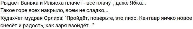 Стихи о Дом-2 на 22.06.2023