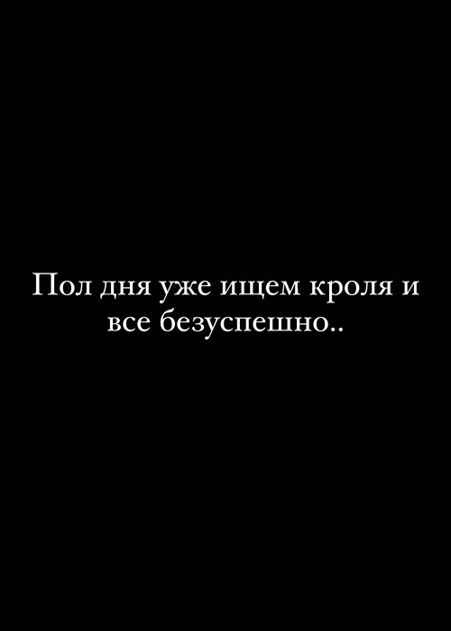 Тигран Салибеков: Может, кроля крысы съели?