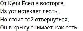 Стихи о Дом-2 на 11.07.2023