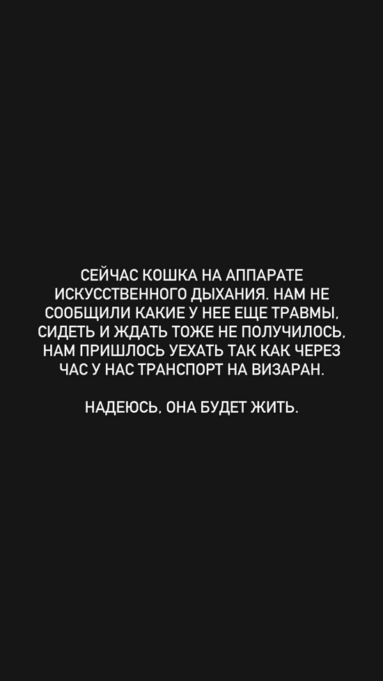 Евгений Ромашов: Даже не остановились, бездушные ссыкуны!