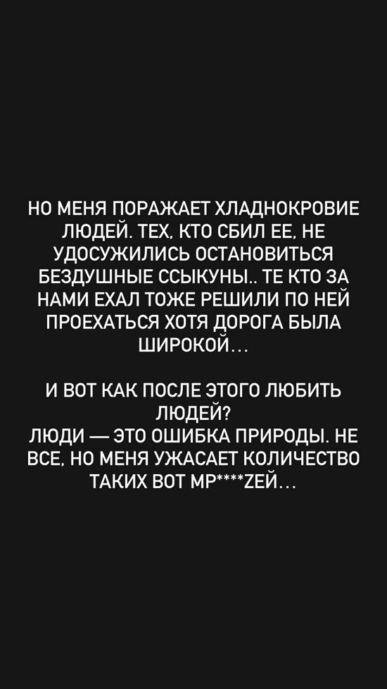 Евгений Ромашов: Даже не остановились, бездушные ссыкуны!