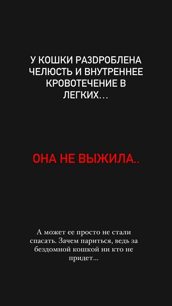 Евгений Ромашов: Даже не остановились, бездушные ссыкуны!