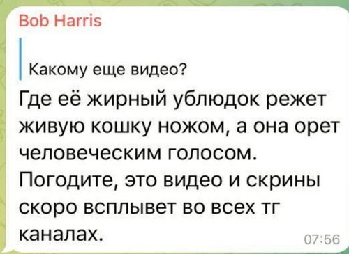 Сын Салибековых издевается над животными?