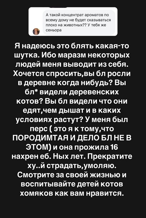 Алёна Опенченко: Вы видели деревенских котов?