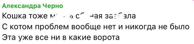 Сын и кошка довели до истерики Александру Черно