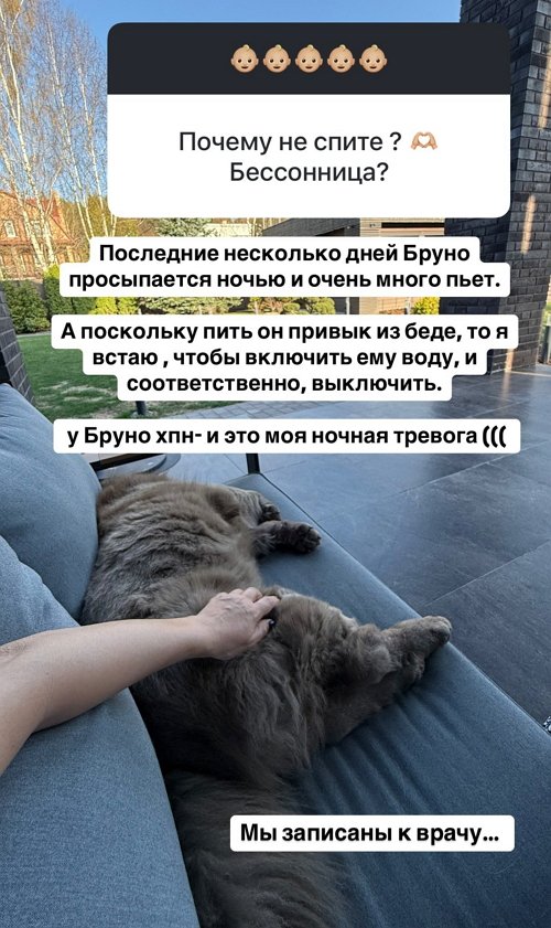 Ольга Орлова: Никакой пластики, никаких уколов