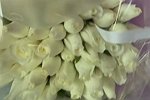 Анастасия Стецевят: В этот раз с вазой и без подписи
