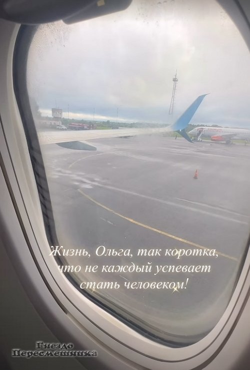Дмитрий Дмитренко: Она ломает психику нашим детям