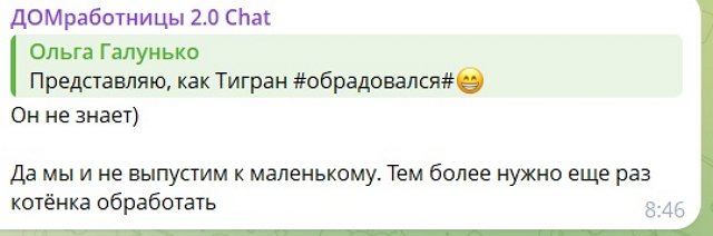 Вероника Гракович хочет заменить зятя Дмитрием Луковкиным