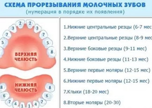 Виктория Салибекова обеспокоена здоровьем Леона