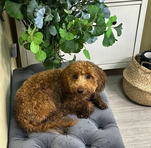 Игорь Григорьев: Мера пресечения была строгой Игорь Григорьев: Мера пресечения была строгой