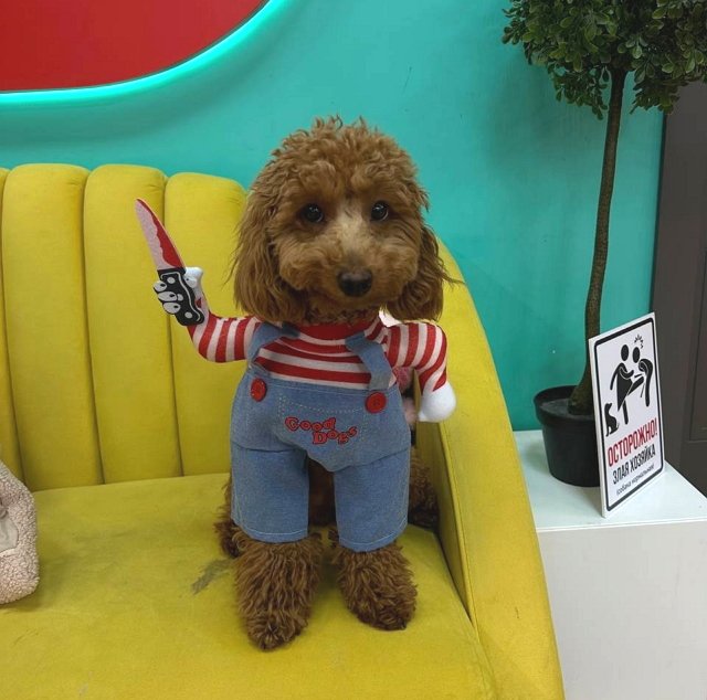 Игорь Григорьев унизил свою невесту Екатерину Квашникову