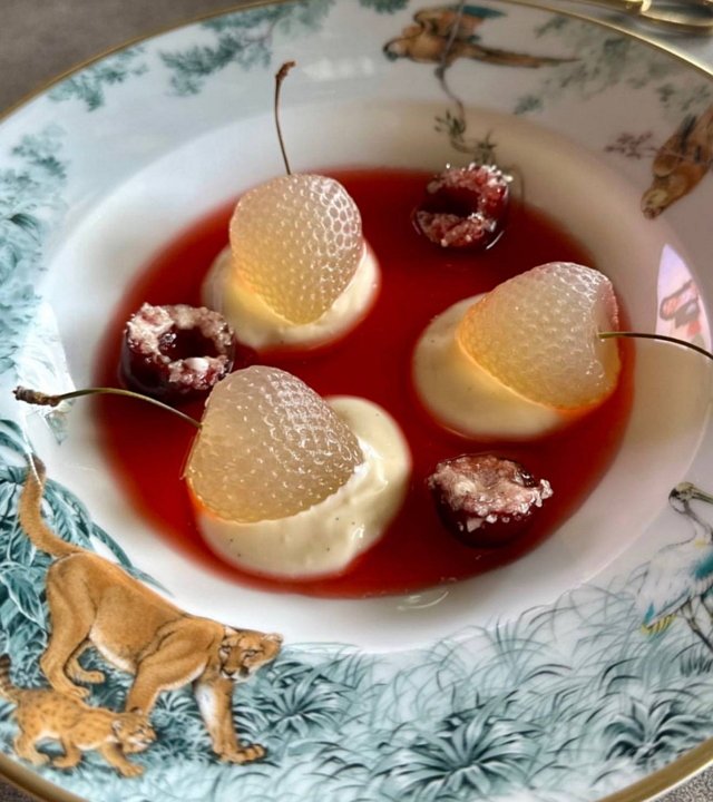 Инесса Шевчук: В голове моей зреет идея Инесса Шевчук: В голове моей зреет идея