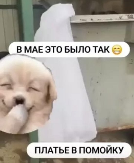 Возлюбленный позвал замуж Наталью Кордюкову Возлюбленный позвал замуж Наталью Кордюкову