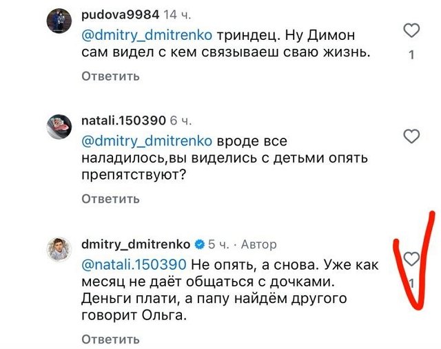 Дмитрий Дмитренко: Они настроили детей против меня