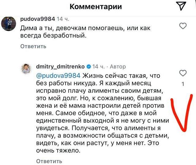 Дмитрий Дмитренко: Они настроили детей против меня