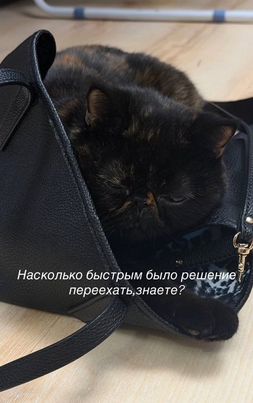 Алёна Опенченко: Я не сомневаюсь в своём решении