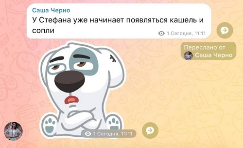 Александра Черно: Мне не нужен инфантил