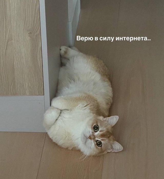 Милена Безбородова решила найти своего родного отца