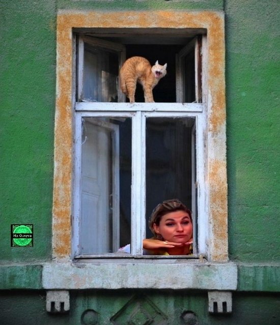 Мнение о событиях на Доме-2 (31.12.2025)