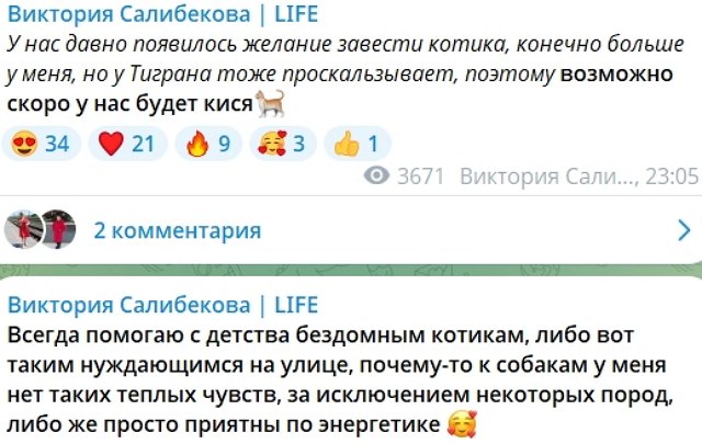 Супруги Салибековы подумывают завести кота