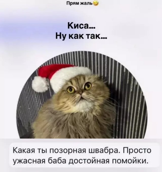 Елена Тепловодская вынуждена «вести диалог» с хейтерами