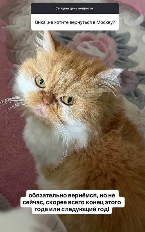 Виктория Чуева: Я забрала лишь свои вещи