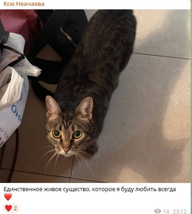 Ксения Нечаева: Я получила хороший урок