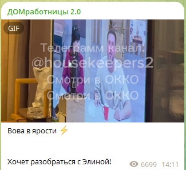 Элина Рахимова довела «до белого каления» Владимира Балана