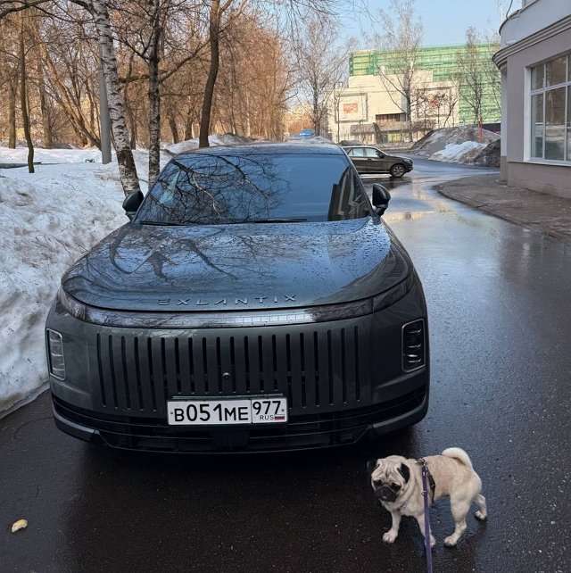 Елизавета Полыгалова: Это был сюрприз для Андрея Елизавета Полыгалова: Это был сюрприз для Андрея