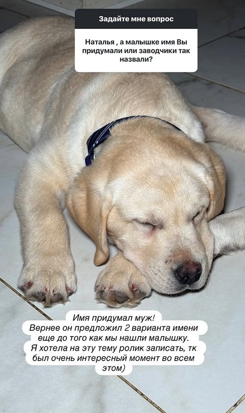 Подписчицы снова задают неудобные вопросы Наталье Варвиной