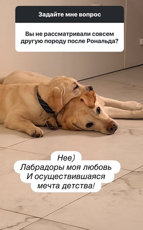 Подписчицы снова задают неудобные вопросы Наталье Варвиной