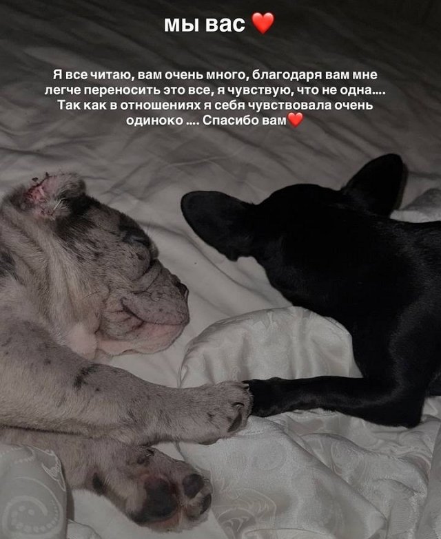 Анастасия Стецевят: Я просто поделилась своим горем