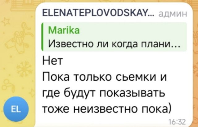 Елена Тепловодская: Ребята - это фейк