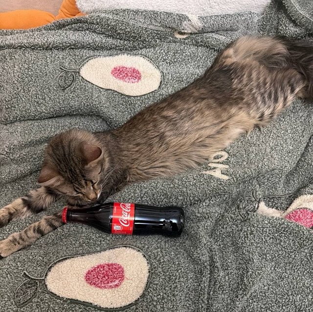 Степан Карпов познакомился с родителями Ксении Нечаевой